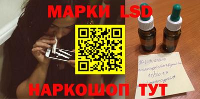 apvp Бердск