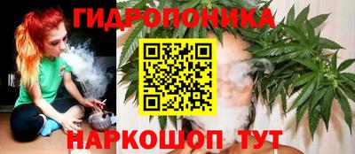 apvp Бердск