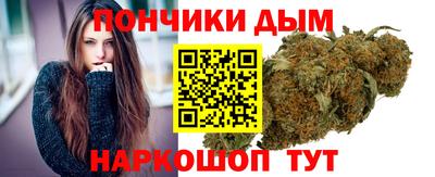 apvp Бердск