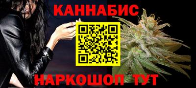 apvp Бердск