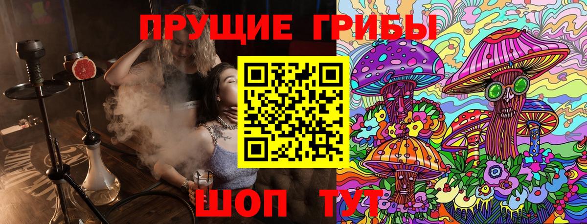Галлюциногенные грибы мухоморы Звенигород