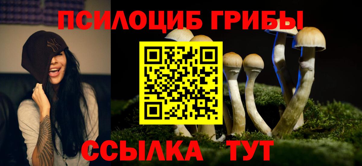 Звенигород  Галлюциногенные грибы мицелий  Вход с VPN 